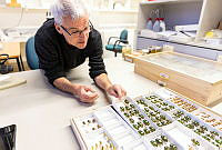 000123463-Entomology - AMRI (Large Files)_123463.jpg