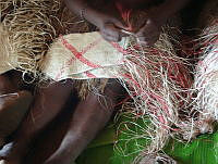 000123467-Solomon Islands Expedition - Ornithology - shell money, baskets, mats, pipes, percussion sticks, carvings, combs_1.jpg